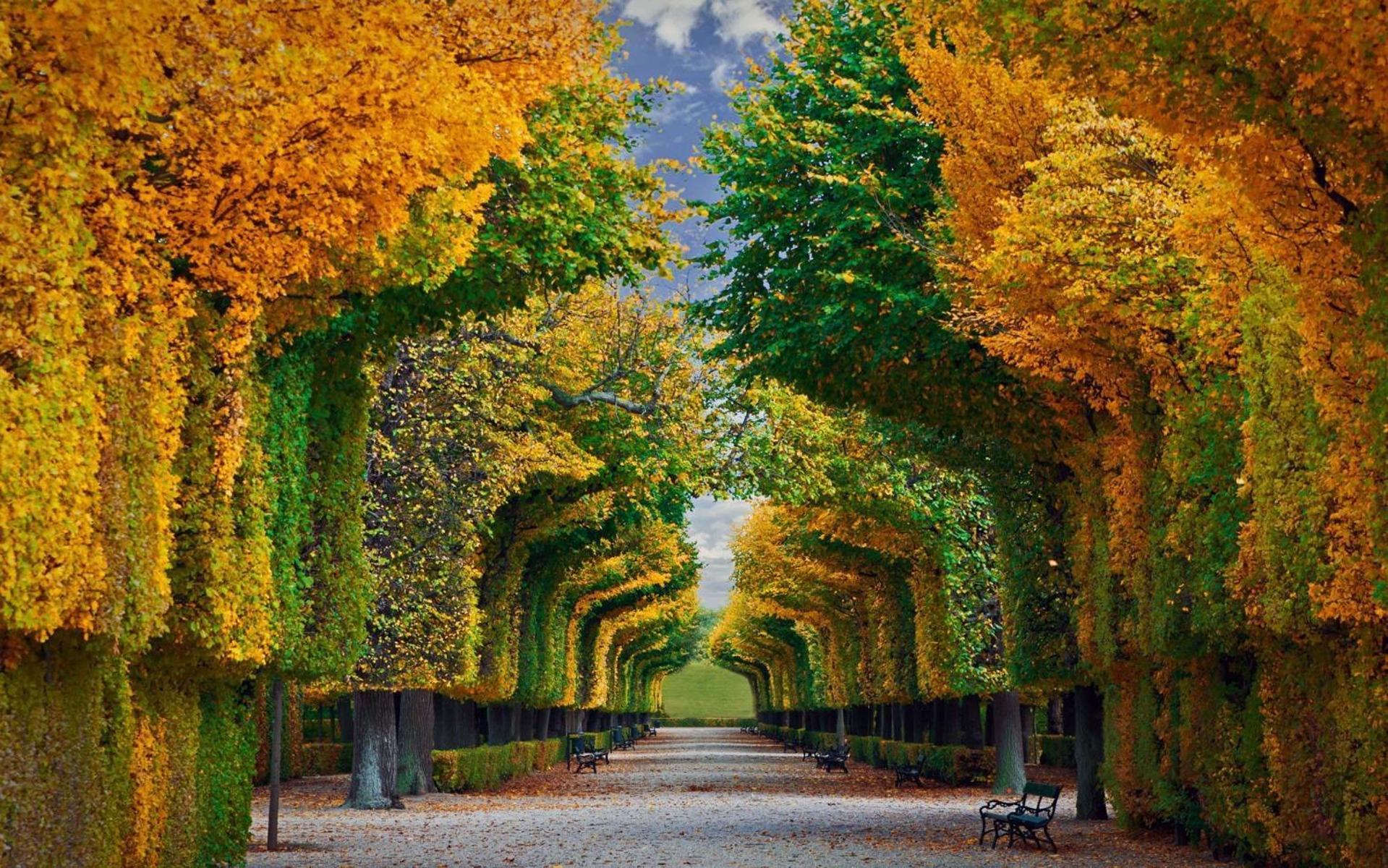 Luxe View Schoenbrunn Suite Vienna Exterior photo